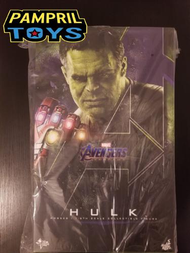 Hot Toys 1/6 Marvel Avengers MMS558 Hulk Endgame Bruce Banner Mark Ruffalo pampril toys